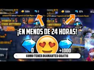 Imagen relacionada con la guía
